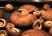 Mushroom Crostini